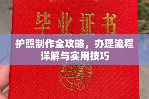 祁阳护照制作全攻略，办理流程详解与实用技巧